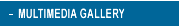 Multimedia Gallery Index