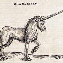Of the Unicorn